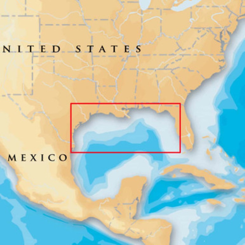 Navionics MSD/907P+ Platinum+ – Gulf Of Mexico – microSD/SD