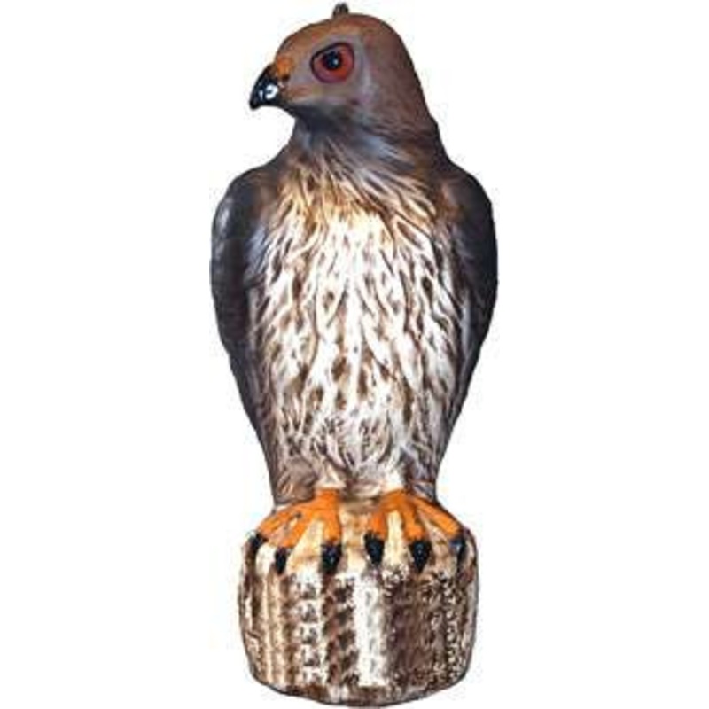 Bird-B-Gone RTH1 Hawk Decoy