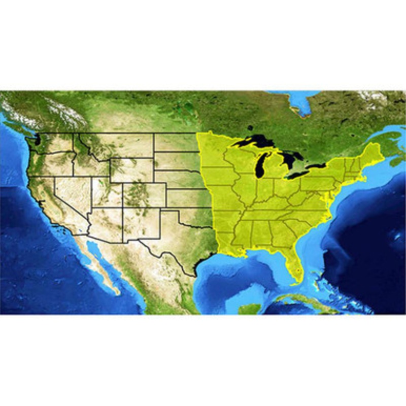 Lowrance 000-12215-001 Lake Insight HD Eastern U.S. – v15